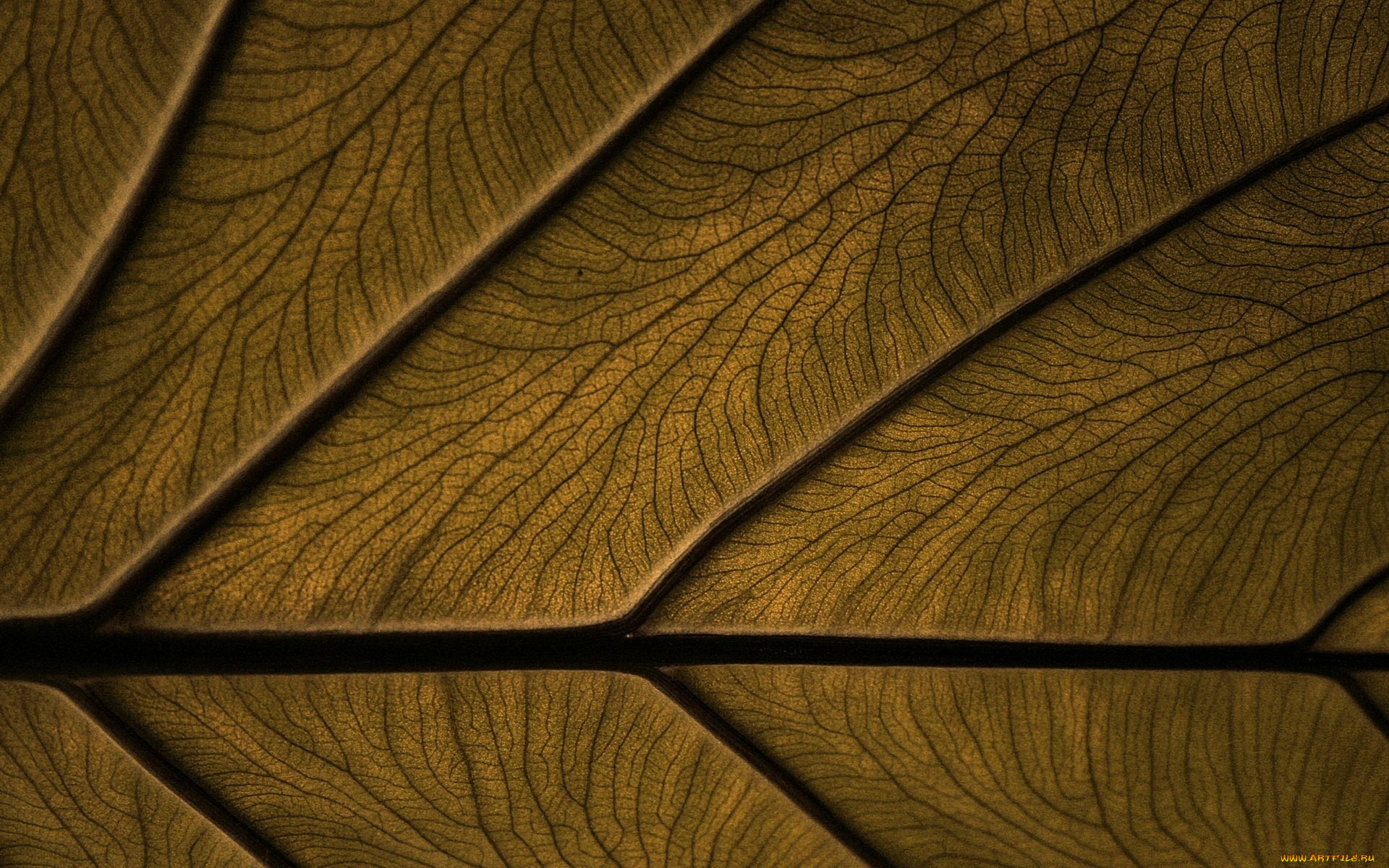 3, , textures, , , , , , 